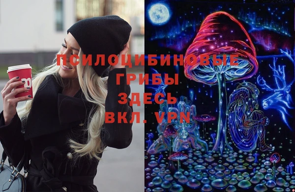 бошки Беломорск