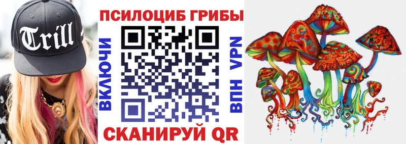 Псилоцибиновые грибы Cubensis Михайлов